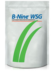 B-Nine WSG - Water Soluble Granule Plant Growth Regulator for Ornamentals